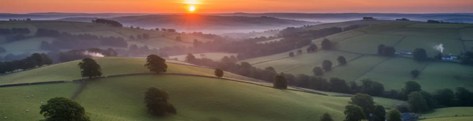 imagen de una pradera